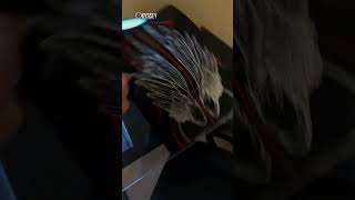Bench Mat: 1. Slipping laptop: 0