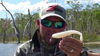 How to catch impoundment barramundi on soft plastics with Vinnie Versfeld screenshot 5