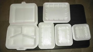 container fast food machine making ps polypropylene foods box making machines