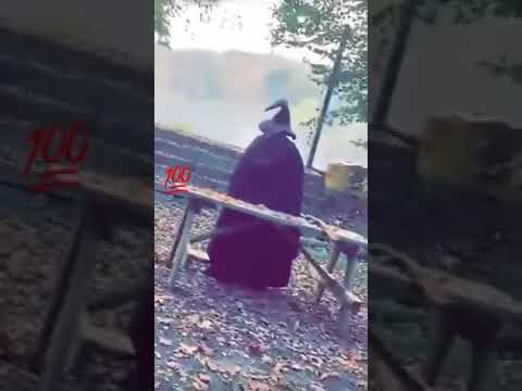 گواليس الاغنيه نبض مالي