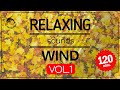 🌬🛌2 HOURS of WIND, Wind Sounds for Relaxing Sleep, insomnia, Meditation, Study. Wind (VOL. 1)