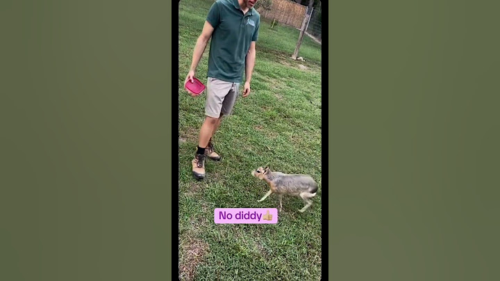 Oh nahhhh😭😭 #diddy #trending #funny #memes #viralreels #funnyvideos #wtf #trends #laughs