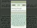 وقل الحمد لله الذي لم يتخذ ولدا ولم يكن له شريك في الملك ولم يكن له ولي من الذل وكبره تكبيرا