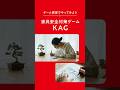 シティボーイの部屋の安全対策。