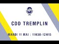 Webinaire  cdd tremplin organis par le manifeste inclusion