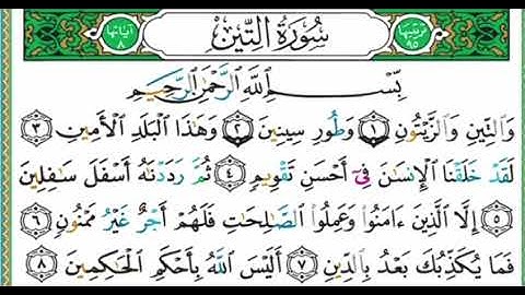 #سنبلة واجب جديد #جزء_عم #سورة_التين الآيات ١-٥