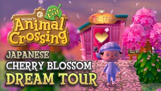 The BEST Cherry Blossom Town in Animal Crossing!