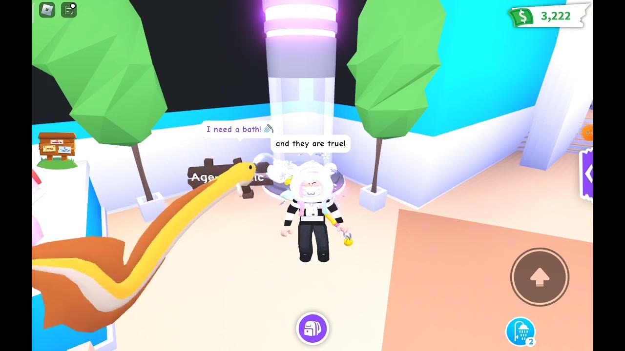 What Does Age Set Mean What Does Age Set Mean