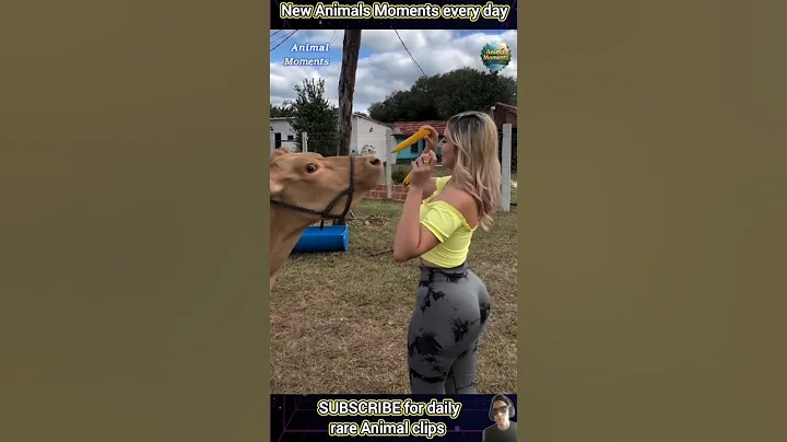 Amazing Animal Moments Caught on Camera! 📸