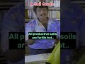 Malarnthu malaratha paathi mottu iruka 😂#goundamanicomedy #quote #shorts #reels #comedy