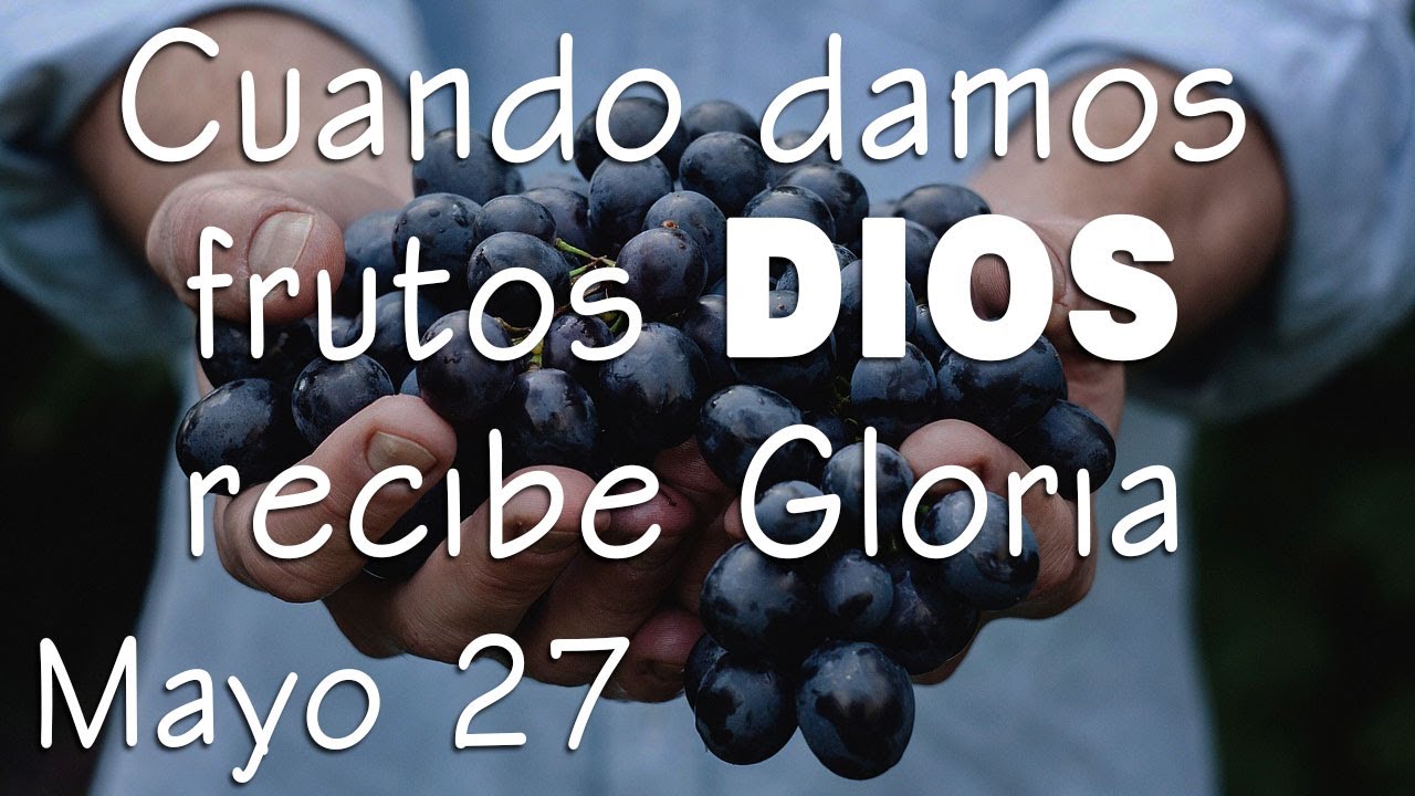 Cuando damos fruto DIOS recibe gloria padre Dario Betancourt encuentro may 27 virgen maria necklace