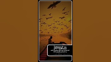 أستمع إلى جمال الترتيل رعد الكردي // قرآن كريم // حالات واتس اب// ستوريات انستغرام💜🌷