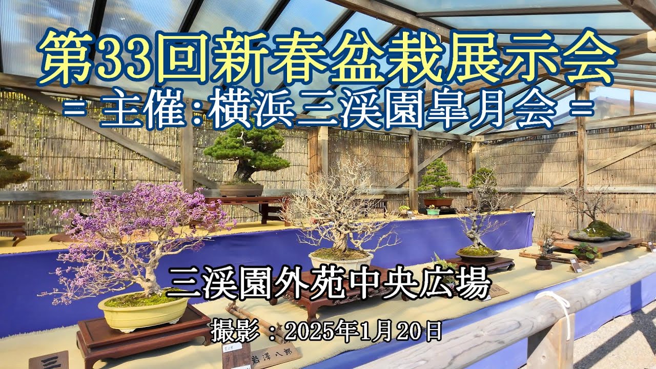 第33回新春盆栽展示会 = 主催：横浜三渓園皐月会 = [4K] The