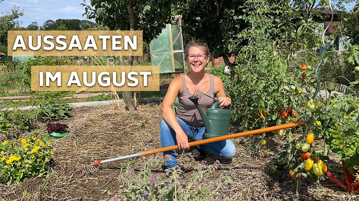 13 Gemüse für Aussaat & Direktsaat im August I Selbstversorgung Herbst & Winter