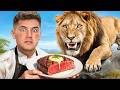 طبخت لكل الحيوانات طبخت لكل الحيوانات