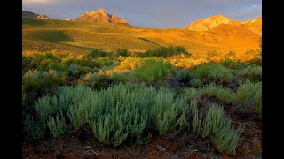 Fall 2022 Seminar #6: Sierra Nevada Aquatic Research Laboratory