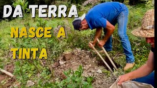 TABATINGA SABEDORIA ANTIGA - CASA PROTEGIDA - A FORÇA DA TERRA 