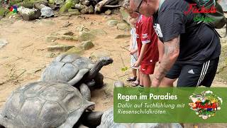 🌍🐢 Seychellen &amp; La Réunion – Afrika-Feeling auf Weltreise!