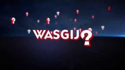 Holdson Puzzles - Wasgij - New Zealand