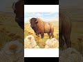 Prärie &amp; Savannen Wildtier Malbuch  Erwachsene #malbuchfürerwachsene #contentcreators #malbuchtiere