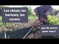 Les choux , les navets , les haricots verts plus de secret pour vous !