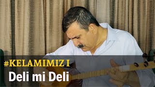 Nurettin Rençber - Deli mi Deli Resimi