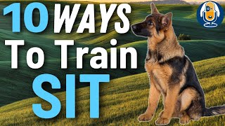 10 Ways To Teach A Sit WITHOUT A Food Lure! Unreal Results For Puppies And Dogs Of All Ages #155