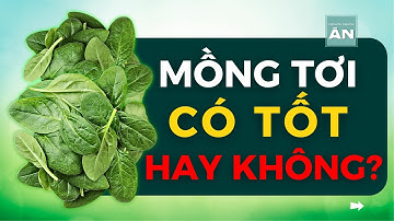 Ăn RAU MỒNG TƠI có Tốt hay Không Tốt? Như thế nào? | Lê Hữu Ân