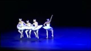 The Four Swans by Itzik Galili  Dortmund Ballet