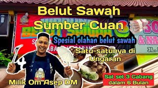 Review masakan belut sawah