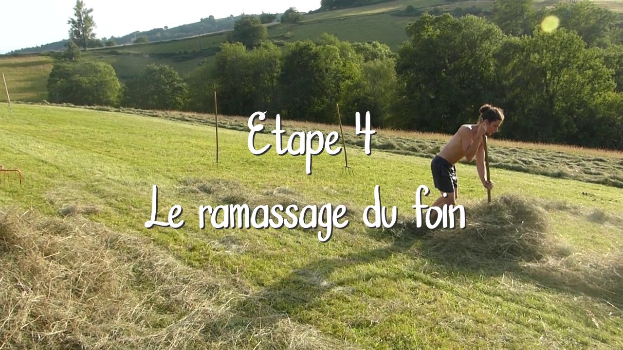 Fenaisons en Traction Animale