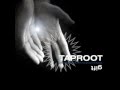 Taproot - Now