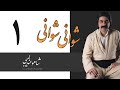 Shaho Andalibi Shwani Shwani Live Concert شاهو عندلیبی شوانی شوانی 