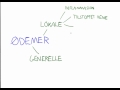 ødemer