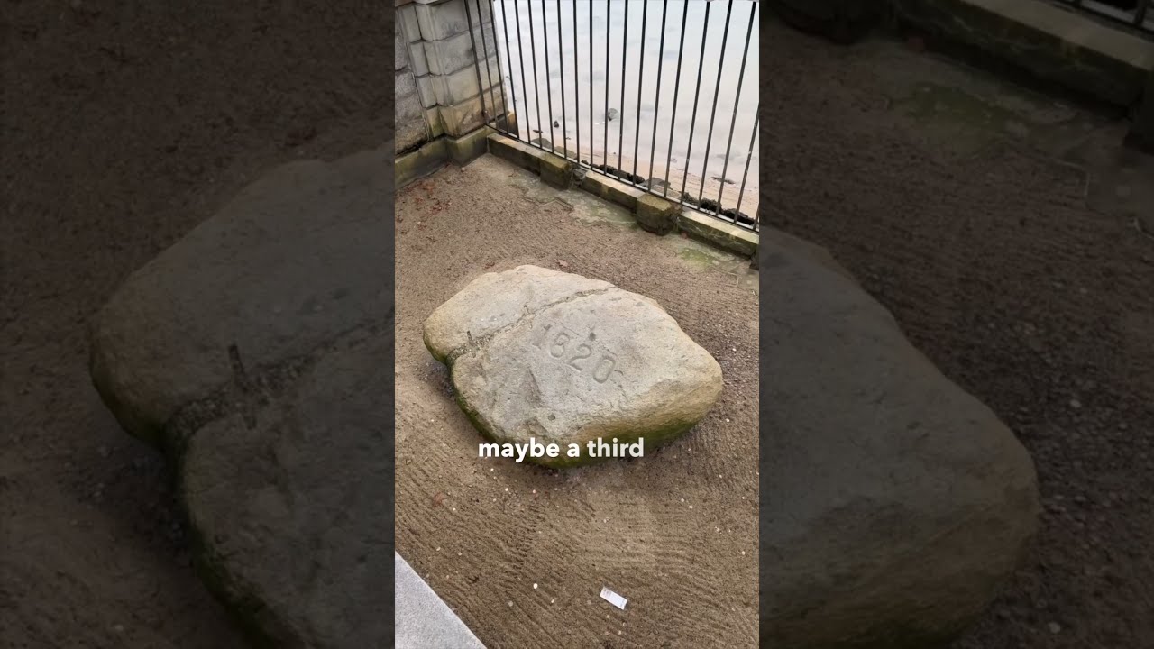 Plymouth Rock Is The Most Misunderstood In America