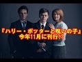 『ハリー・ポッター』シリーズは最新作「呪いの子」で終了　原作者が言及