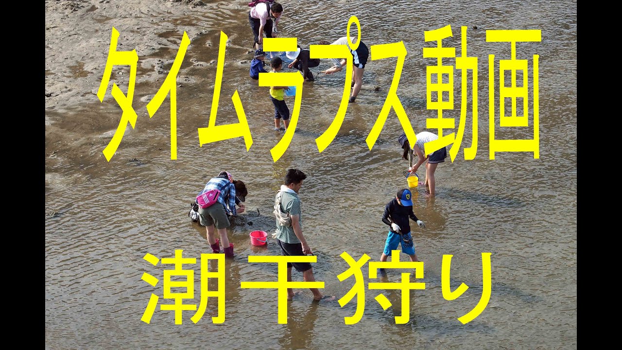 タイムラプス動画150万都市福岡市で潮干狩り Youtube タイムラプス動画150万都市福岡市で潮干狩り Youtube