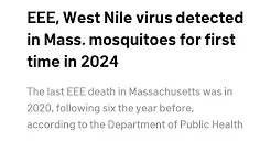 Mosquito 🦟 outbreak 😷 In Massachusetts #MORE lockdowns coming Esau gradualism thumbnail