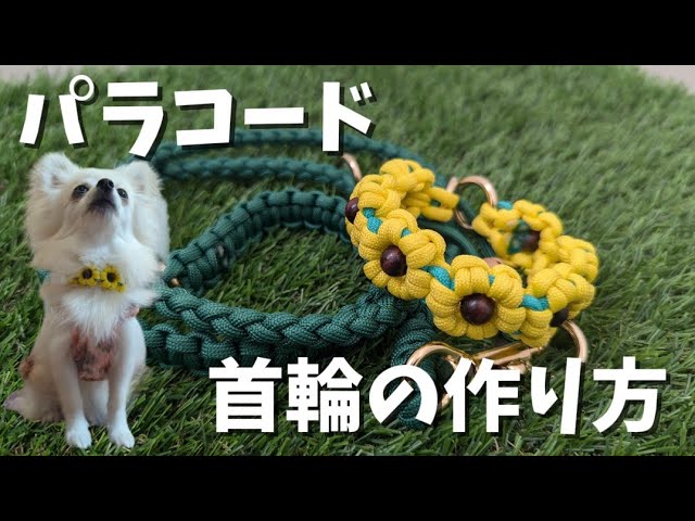 パラコード】花の首輪の作り方、大公開！ - YouTube