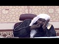 بدر المشاري النوم على طاعة بدر المشاري النوم على طاعة