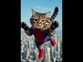 Spinning Cat - Flying Spider😭🌀 Chaos!