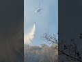 Сильный пожар в лесах Геленджика