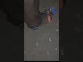 Omg #trending #trendingshorts #trend #shorts #makeup #trendingvideo #omg