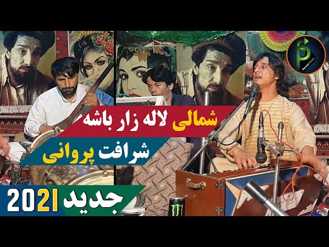 شرافت پروانی جدید شمالی لاله زار باشه Sharafat Parwani New Song 2021 