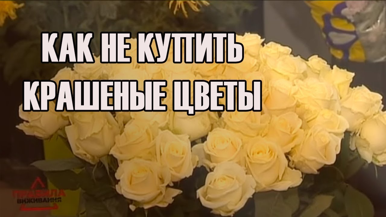 боксерские перчатки Как не купить крашеные цветы | Правила выживания | Выпуск 12