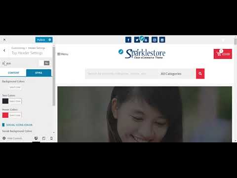 Sparkle Store Theme Header Setting