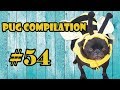 54pug compilation 54  funny dogs but only pugs  instapugs