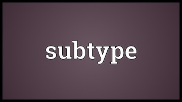 Subtype Meaning