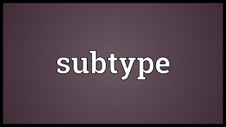 Subtype Meaning