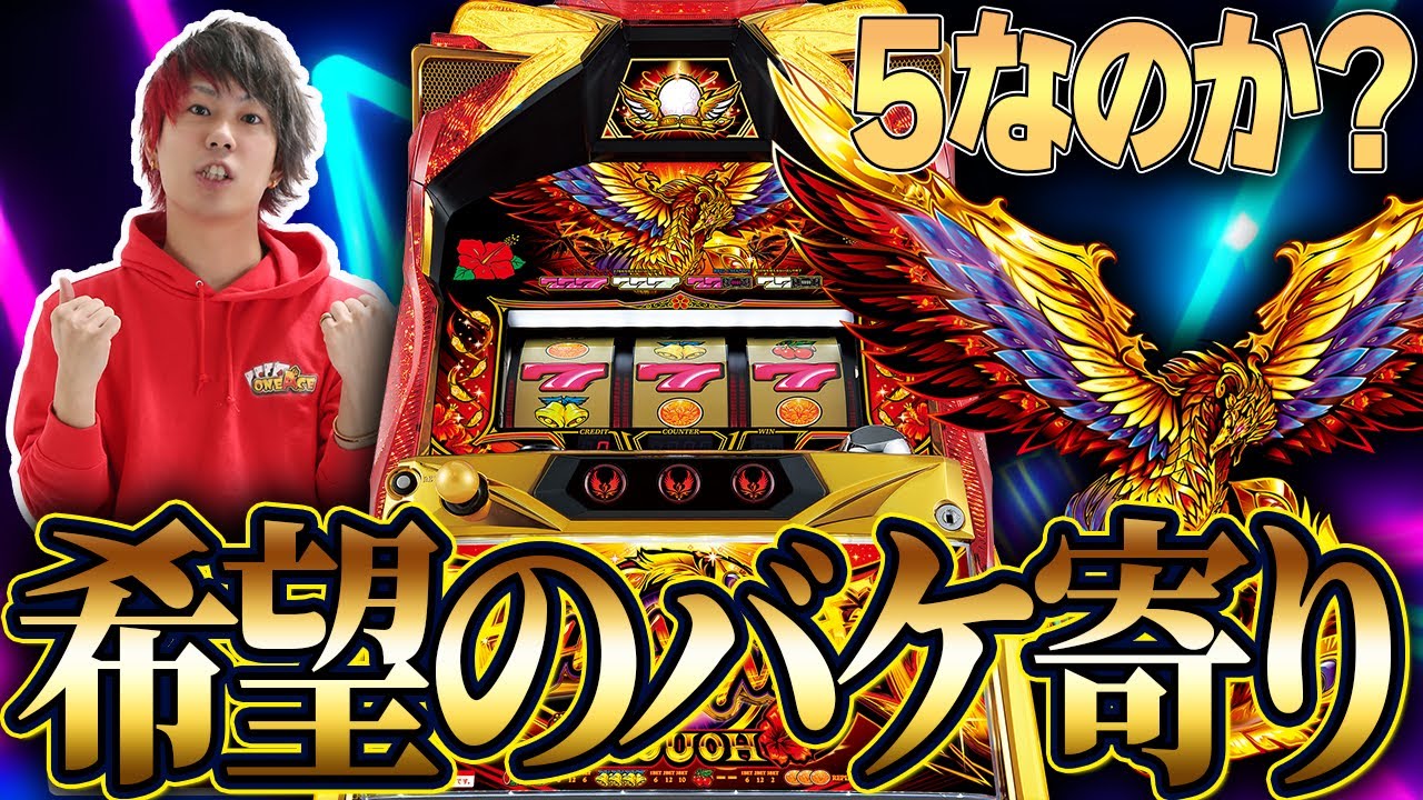 REG Perfect] Can you tell the difference between 3 and 5? [Hana